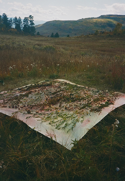 Open Field, chromogenic print, 19 ½ x 12 ⅝ inches.
